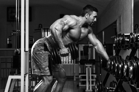 Muscle Building